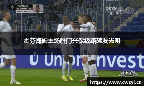 霍芬海姆主场胜门兴保级路越发光明
