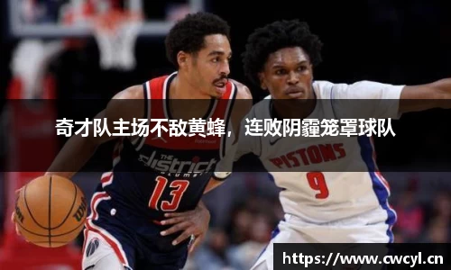 金年会下载